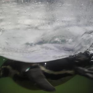 苏晴忘穿内裤坐公交车被揉到视频
