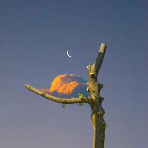 苏晴忘穿内裤坐公交车被揉到视频
